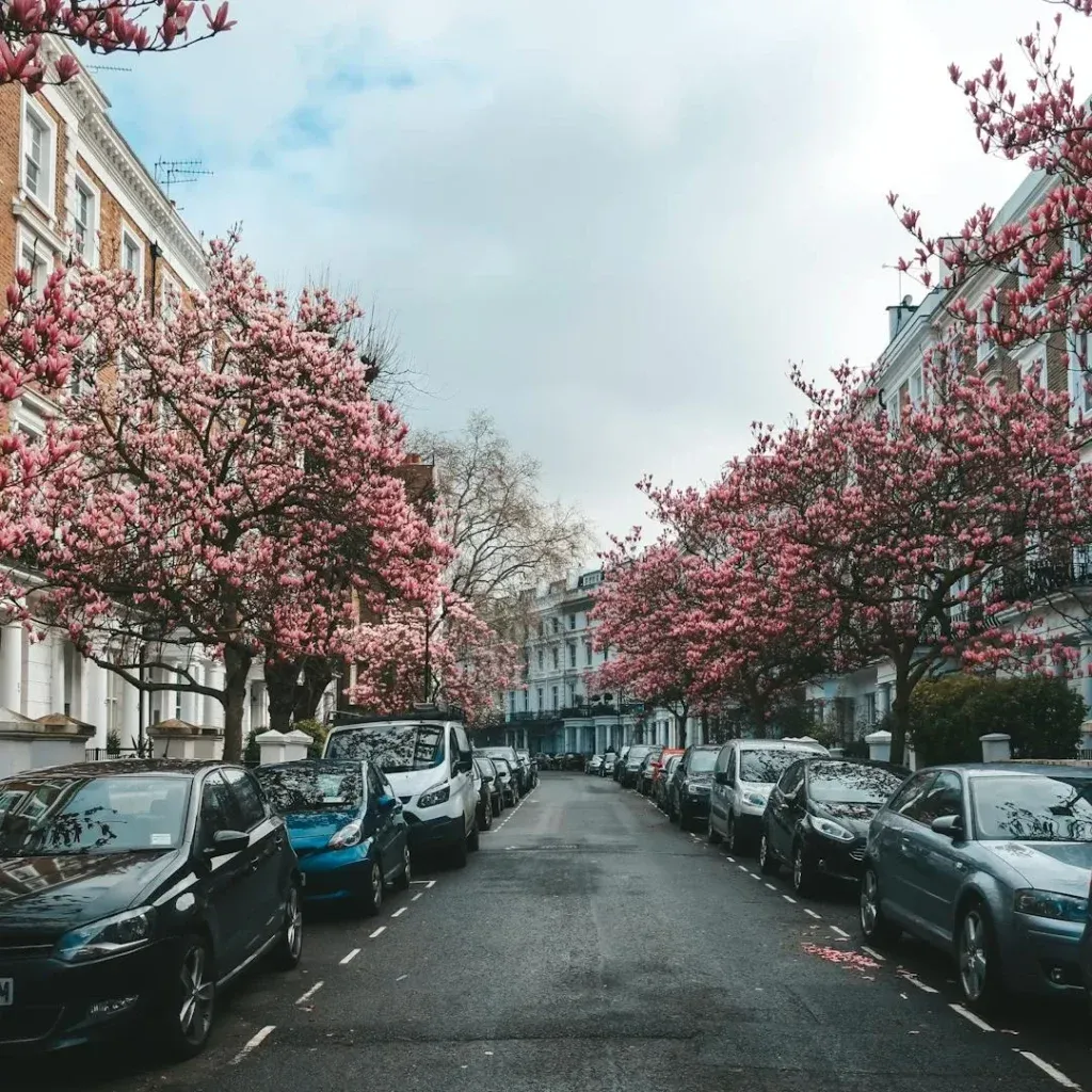 Chelsea Walking Tour